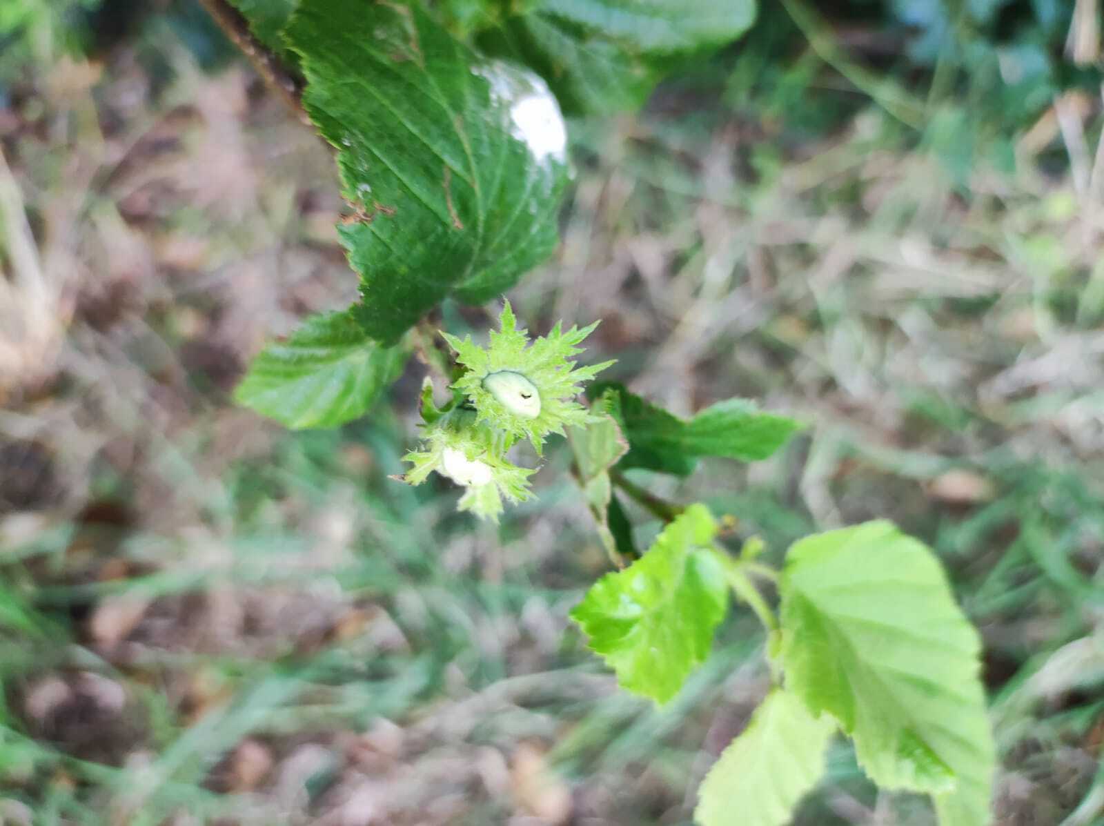 WhatsApp Image 2025-06-30 at 18.04.53