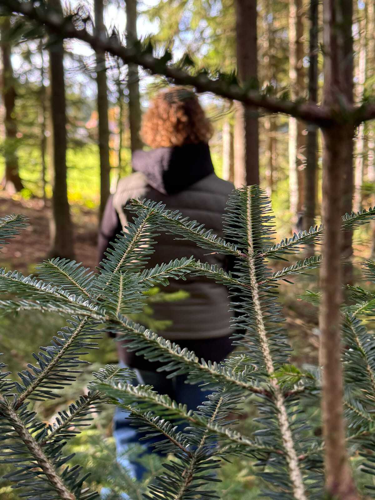 WhatsApp Image 2025-11-05 at 09.34.20