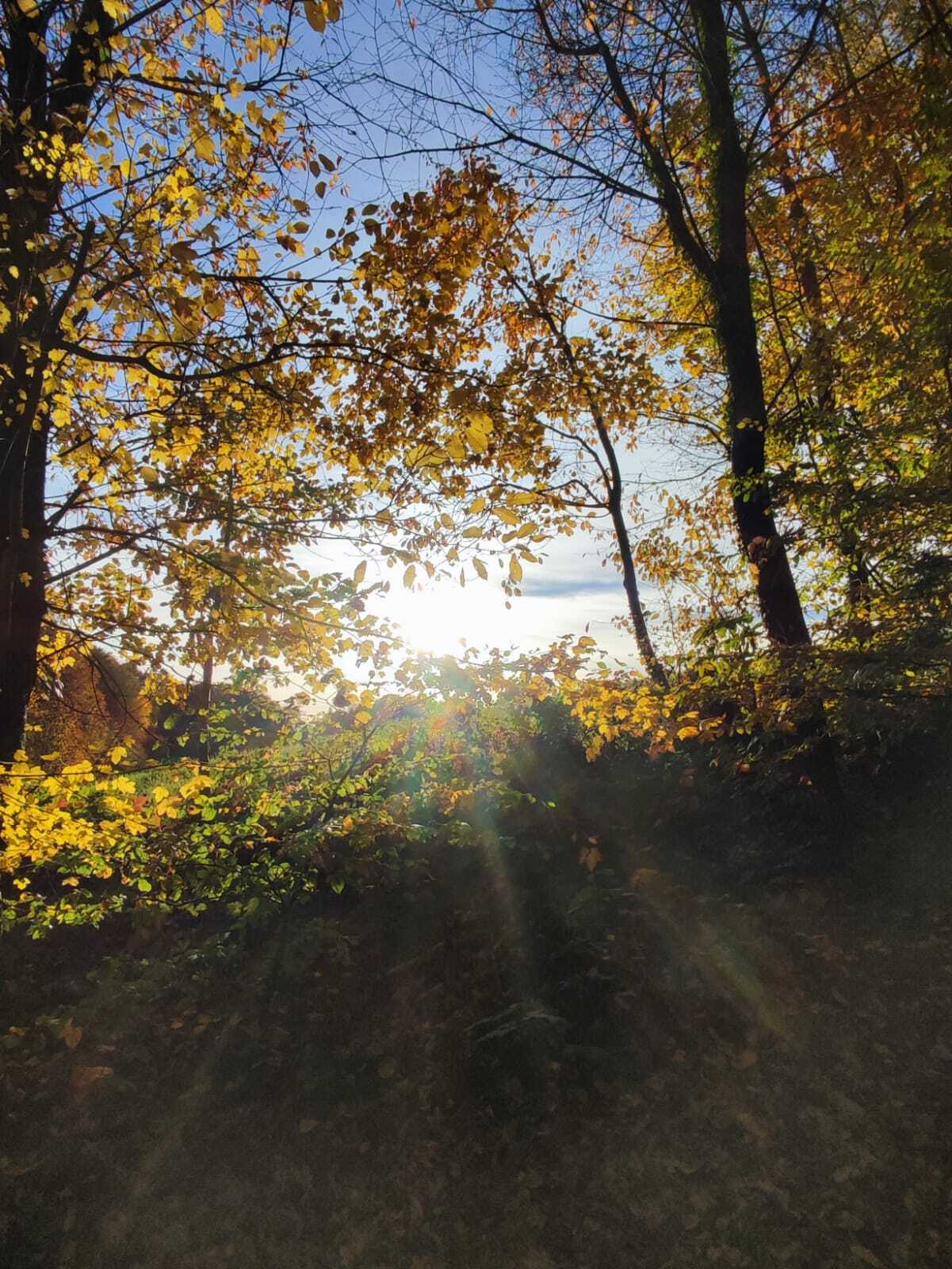 WhatsApp Image 2025-11-05 at 09.36.49 (2)