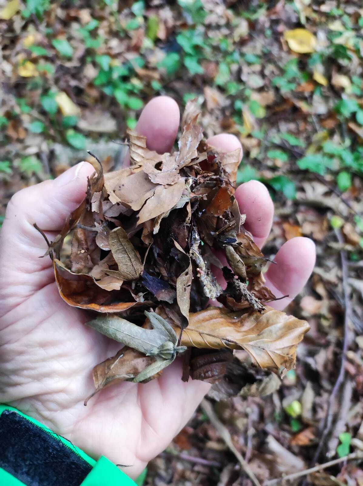 WhatsApp Image 2025-11-05 at 09.36.50 (2)