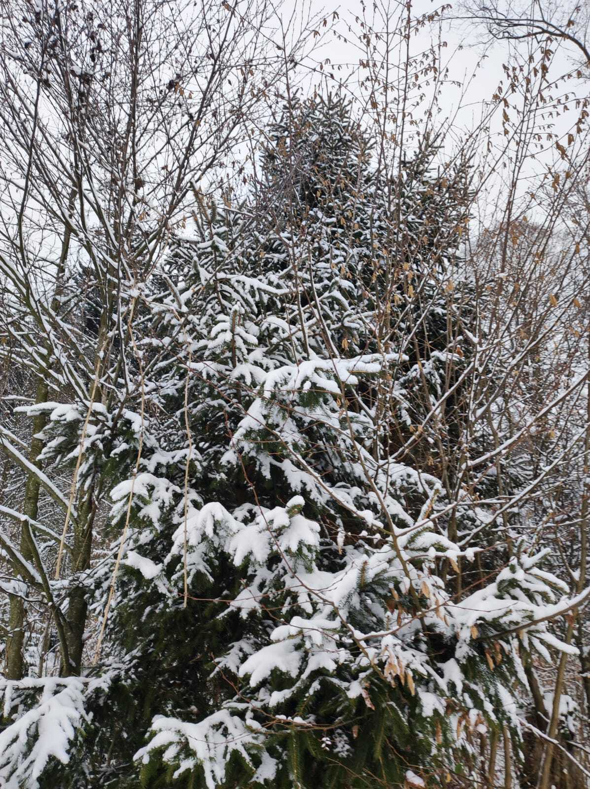 WhatsApp Image 2026-01-06 at 19.32.31 (2)