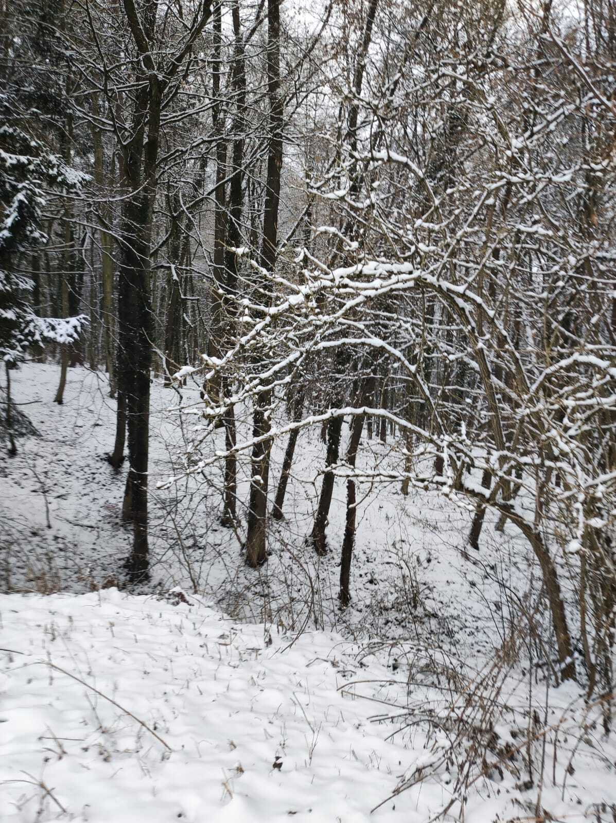 WhatsApp Image 2026-01-06 at 19.32.31 (3)