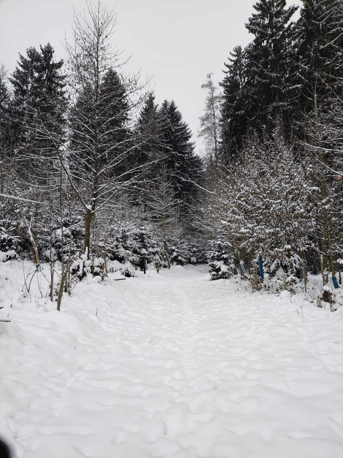 WhatsApp Image 2026-01-06 at 19.32.31