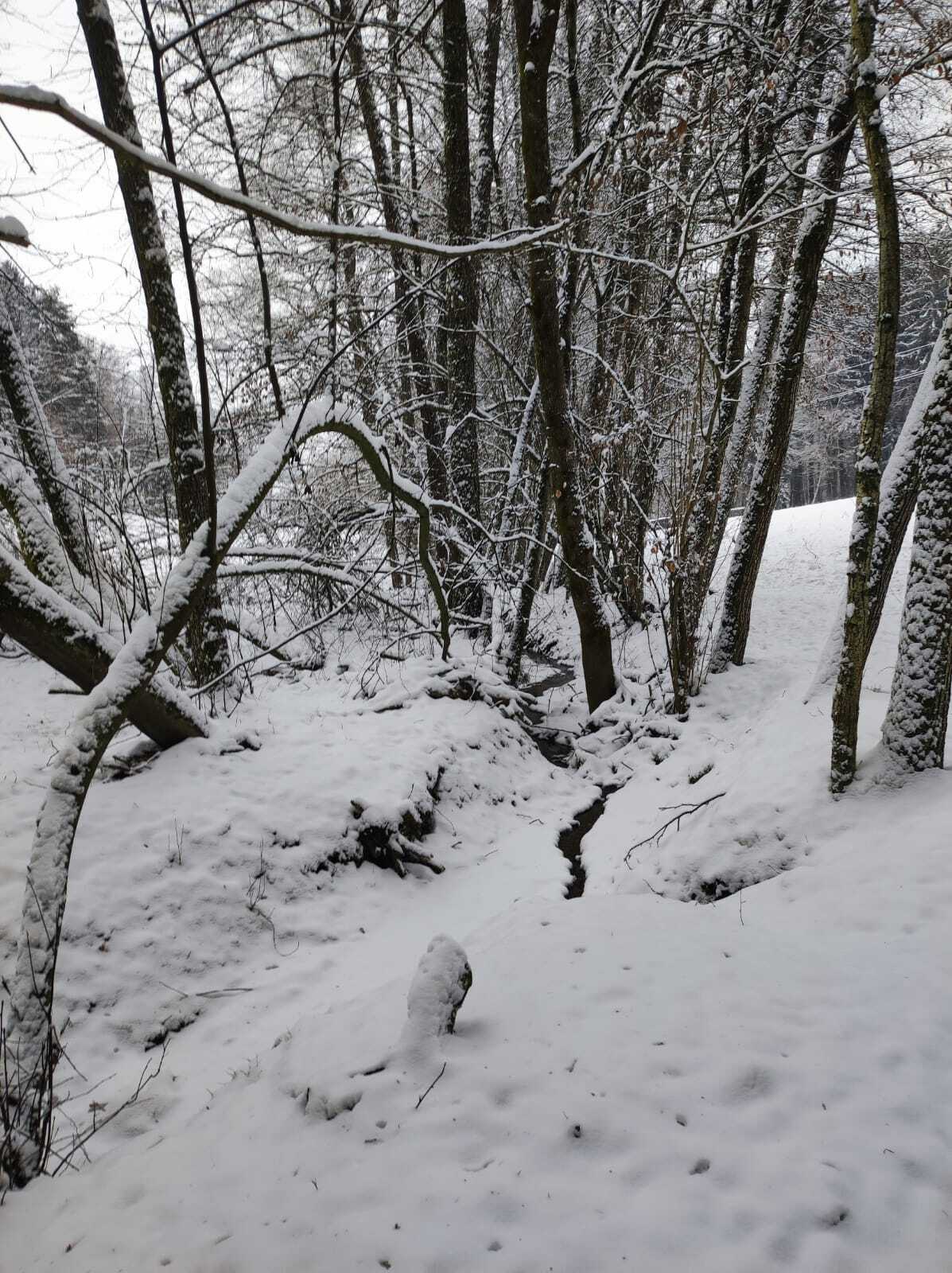 WhatsApp Image 2026-01-06 at 19.32.32 (1)