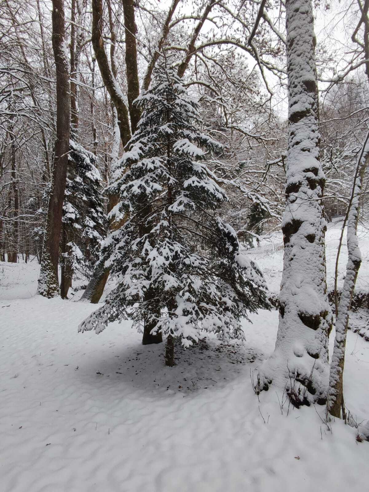 WhatsApp Image 2026-01-06 at 19.32.32